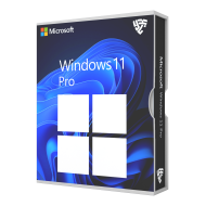 Microsoft Windows 11 Pro